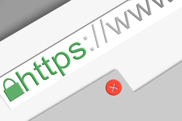 Secure website hosting